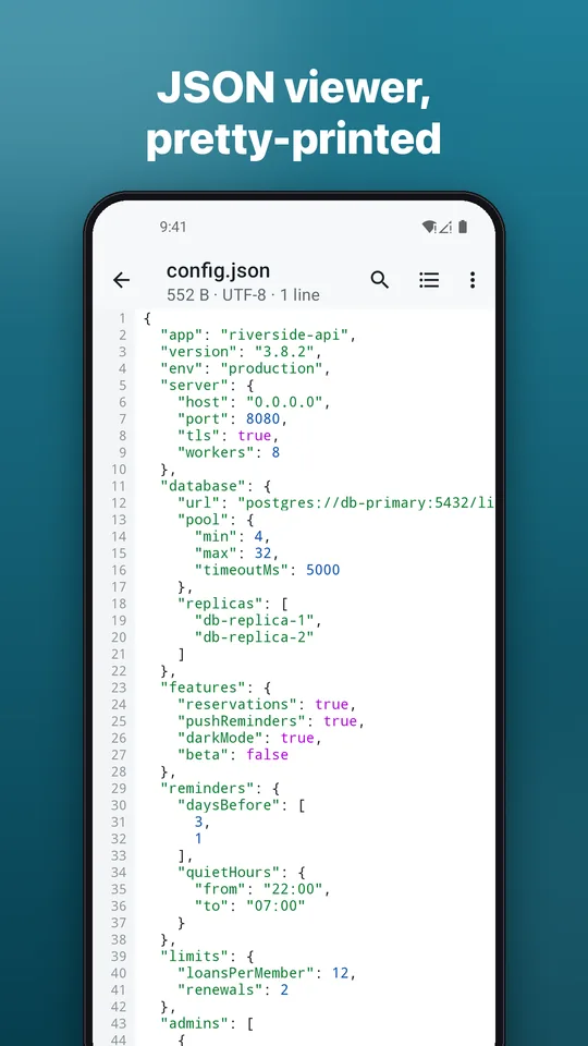 Screenshot: JSON viewer, pretty-printed